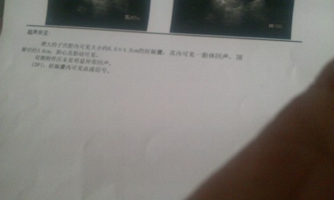 journal_insert_pic_270300426