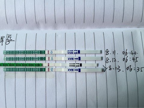 journal_insert_pic_270308055