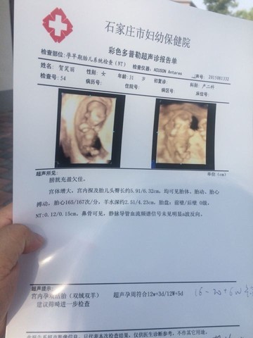 journal_insert_pic_271301351