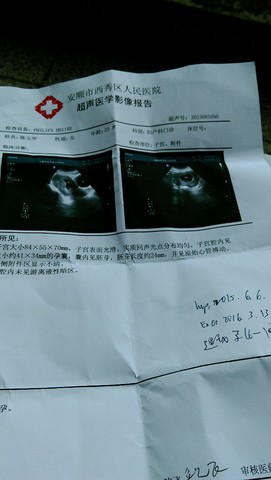 journal_insert_pic_272750027