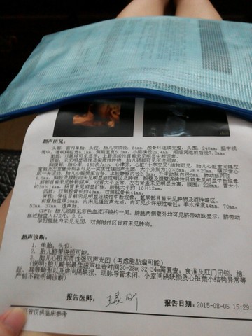 journal_insert_pic_273468790
