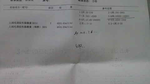 journal_insert_pic_273714307