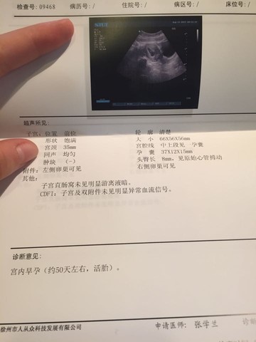 journal_insert_pic_273742014