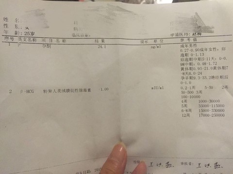 journal_insert_pic_273569172