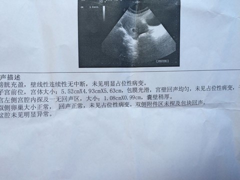 journal_insert_pic_273672430