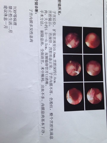 journal_insert_pic_273790712