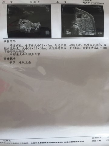 journal_insert_pic_273958749