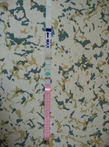 journal_insert_pic_274346445