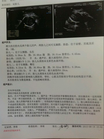 journal_insert_pic_275079259