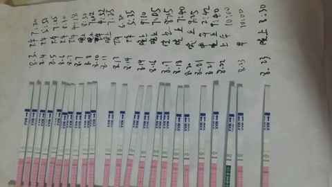 journal_insert_pic_276773798