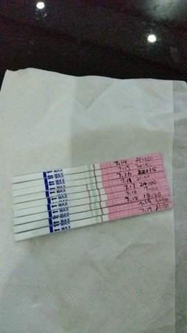 journal_insert_pic_277130365