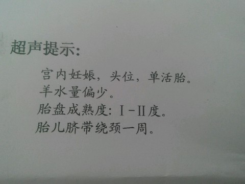 journal_insert_pic_277726352