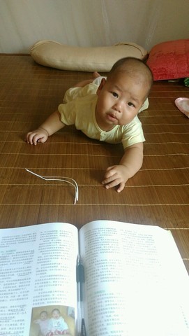 journal_insert_pic_278434024