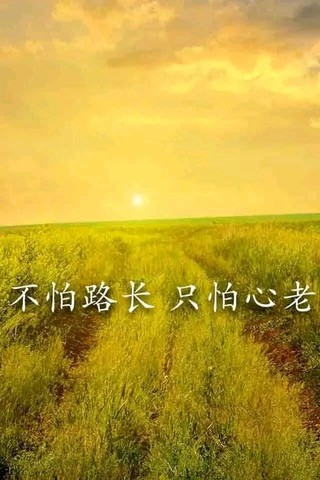 journal_insert_pic_279568907