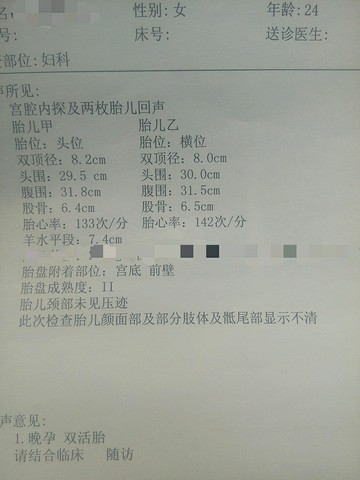 journal_insert_pic_279417471