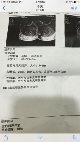 journal_insert_pic_285138994