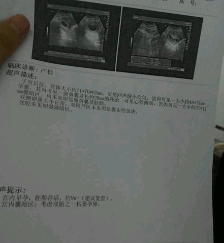 journal_insert_pic_285097824