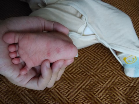 journal_insert_pic_286814599