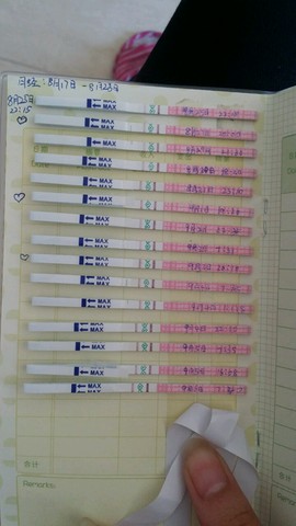 journal_insert_pic_289181536
