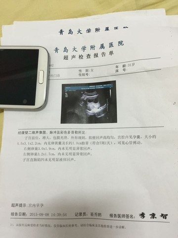 journal_insert_pic_290999654