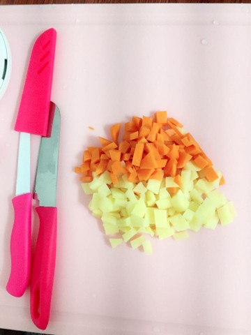 journal_insert_pic_292407903