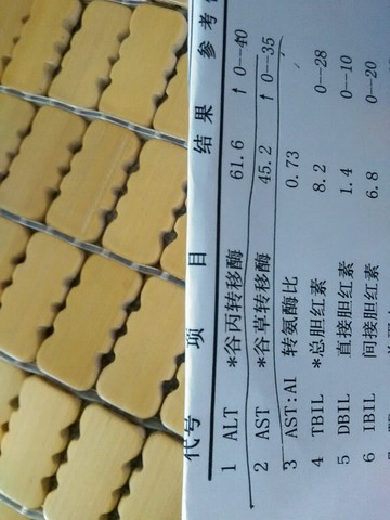 journal_insert_pic_294860893
