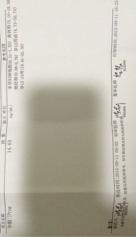 journal_insert_pic_294440540