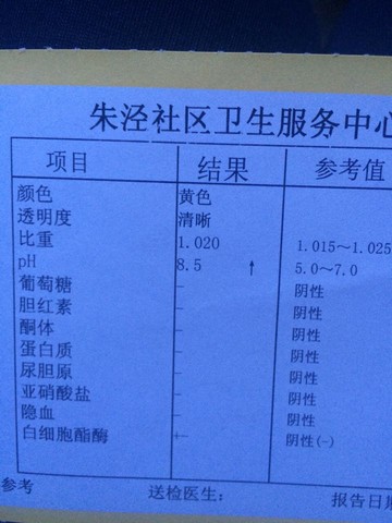 journal_insert_pic_295587041