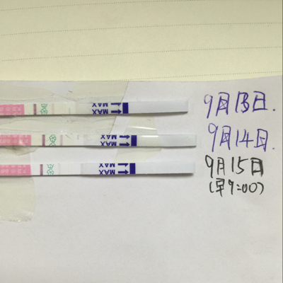 journal_insert_pic_296450476