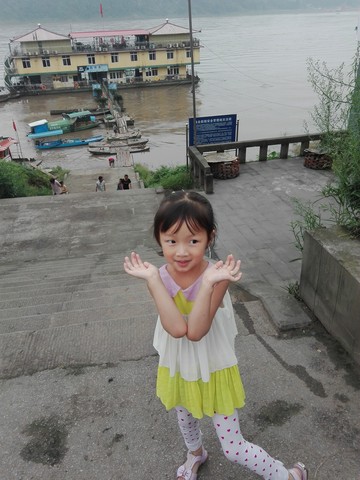 journal_insert_pic_296255384