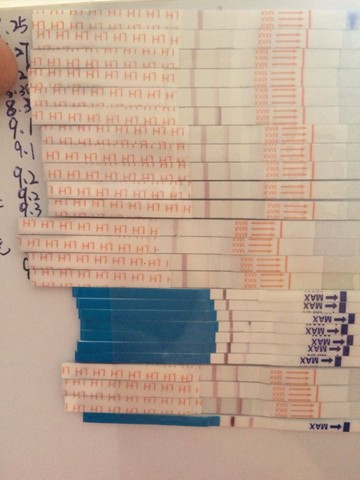 journal_insert_pic_297268875