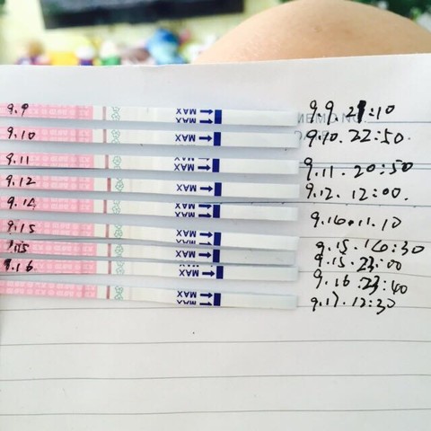 journal_insert_pic_297976881