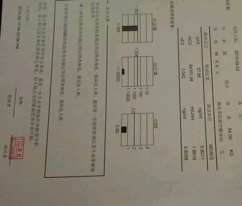 journal_insert_pic_298766547