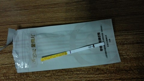 journal_insert_pic_299227497