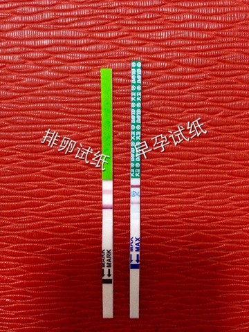 journal_insert_pic_302771205
