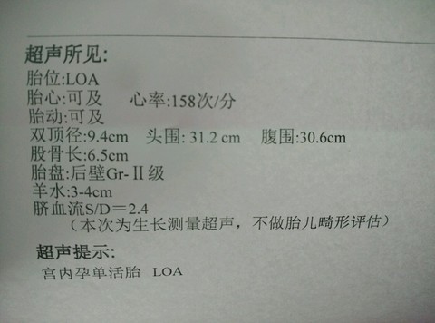 journal_insert_pic_302600036