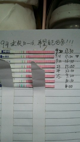 journal_insert_pic_304054441