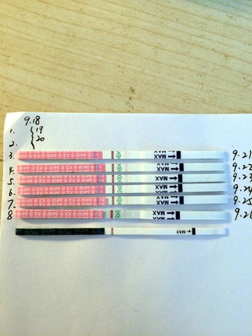 journal_insert_pic_304445886