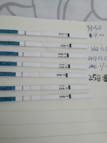 journal_insert_pic_305282345