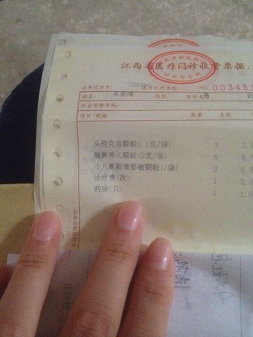 journal_insert_pic_305613482