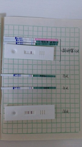 journal_insert_pic_306672549