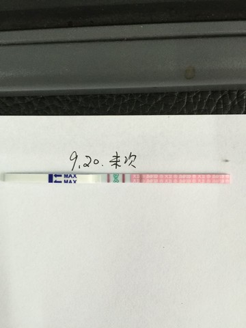 journal_insert_pic_306653650