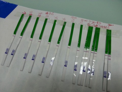 journal_insert_pic_307439482