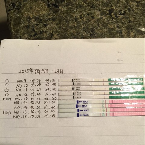 journal_insert_pic_309193930