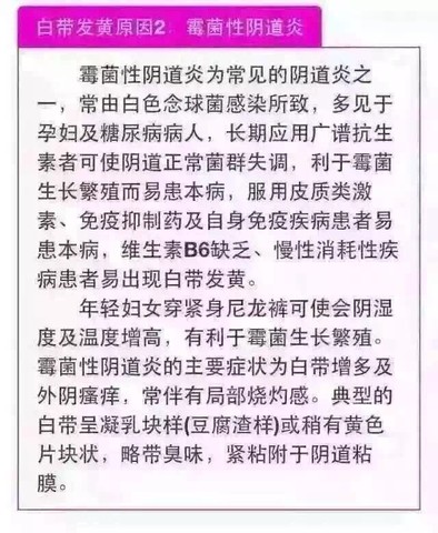 journal_insert_pic_308898309
