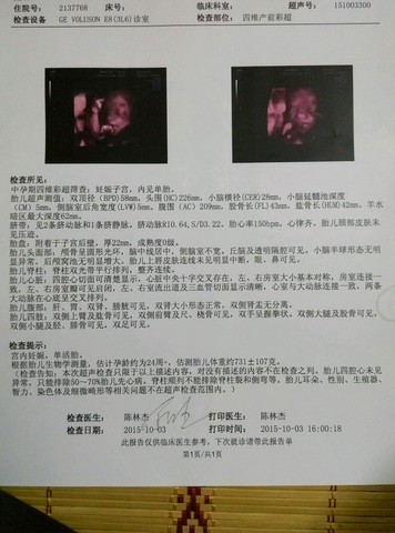 journal_insert_pic_309367832