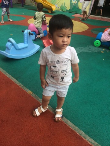 journal_insert_pic_311521283
