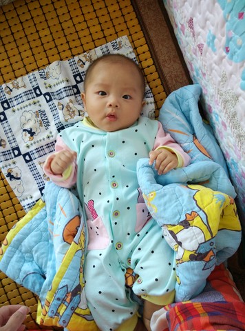 journal_insert_pic_312130723
