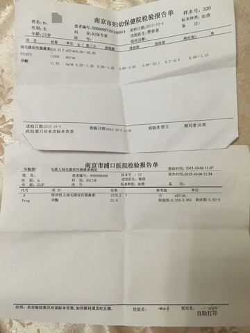 journal_insert_pic_312450067