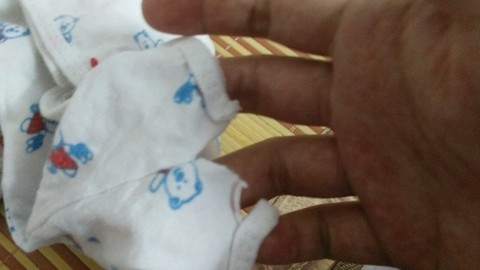 journal_insert_pic_313738319